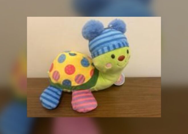 Turtle plush toys recalled due to choking hazard: Health Canada