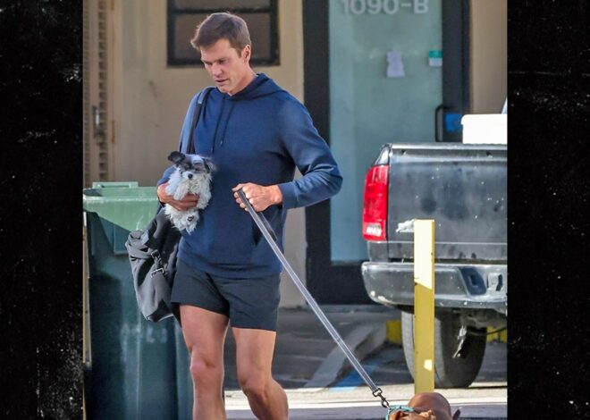 Tom Brady Takes Dogs To Gym For Workout In Miami